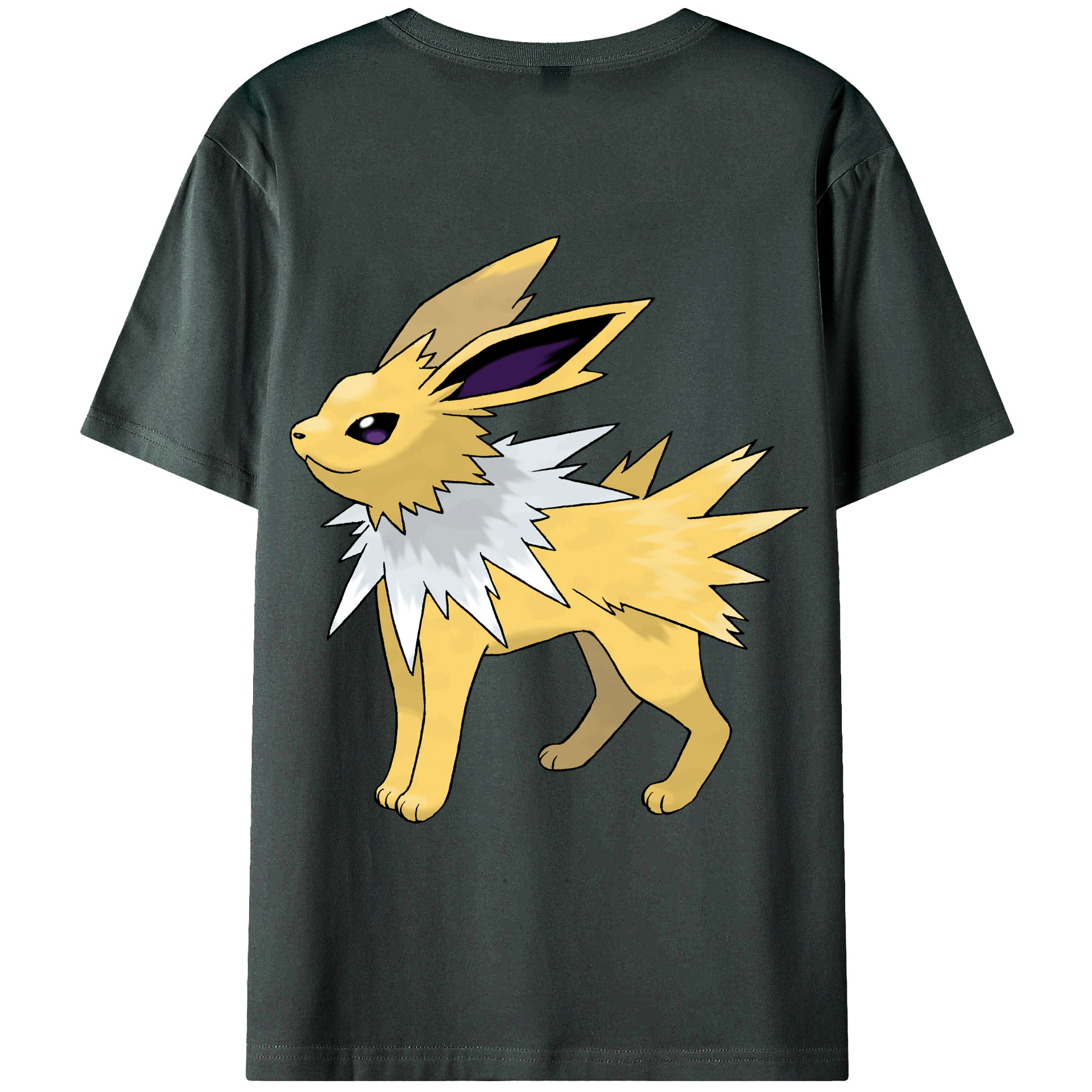 （画像用） ポケットモンスター Pokémon 綿100％ メンズ半袖Tシャツ（バックプリント） 通気性